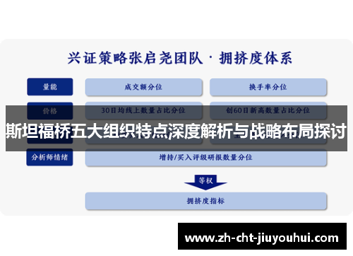 斯坦福桥五大组织特点深度解析与战略布局探讨