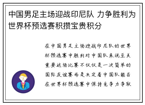 中国男足主场迎战印尼队 力争胜利为世界杯预选赛积攒宝贵积分