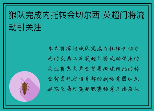 狼队完成内托转会切尔西 英超门将流动引关注