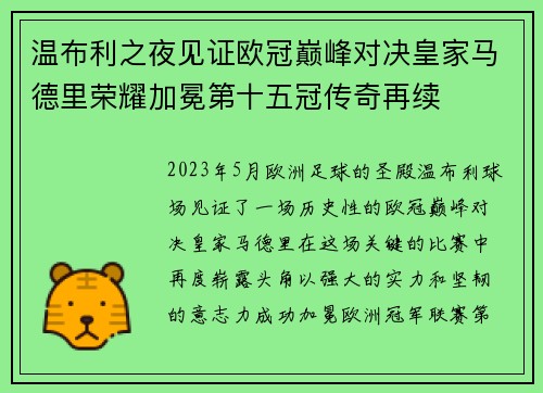温布利之夜见证欧冠巅峰对决皇家马德里荣耀加冕第十五冠传奇再续